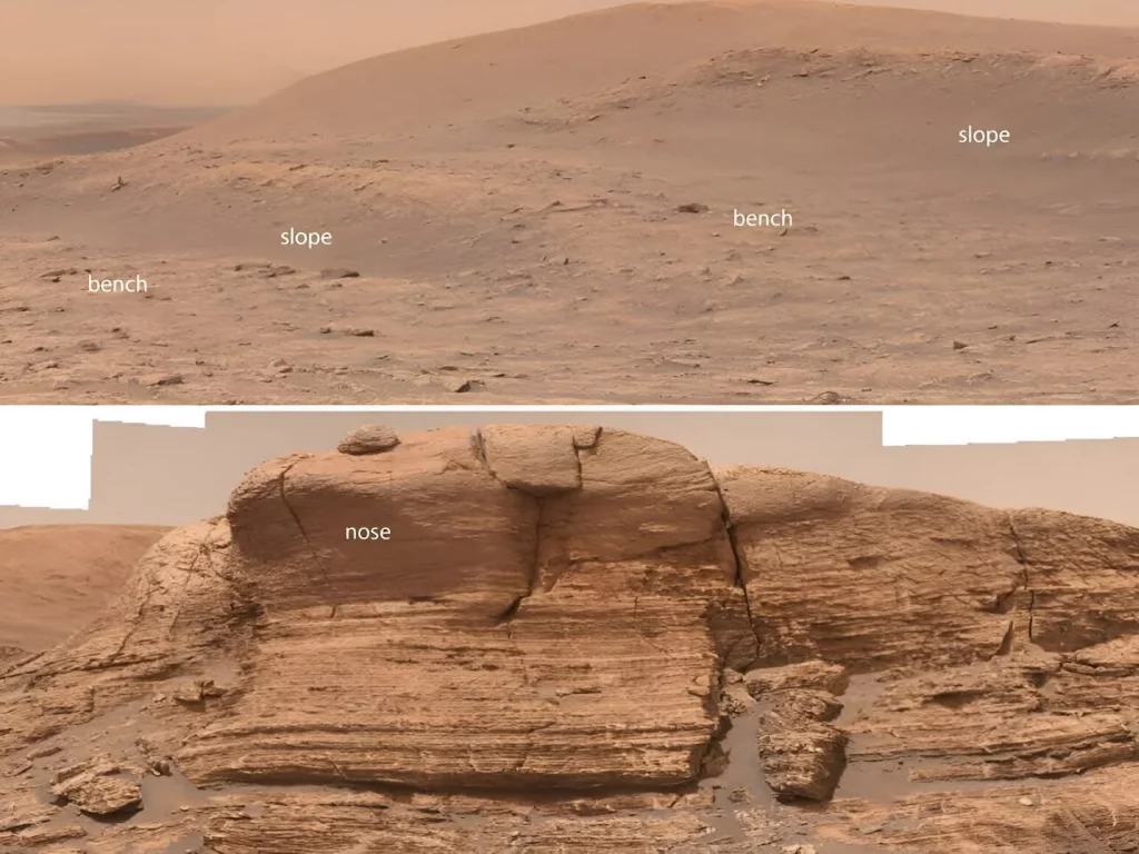 curiosity rover finds
