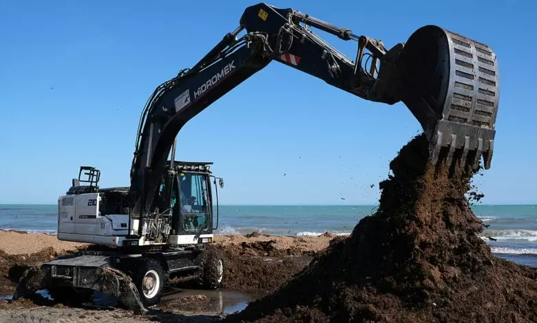 Excavator working on the beach