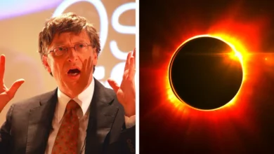 Bill Gates and dim the sun
