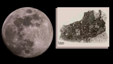 Image of the moon and a moon fragment